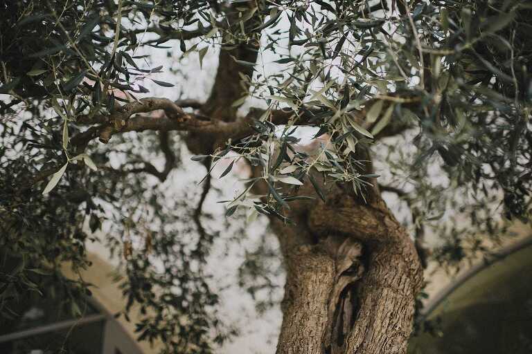 hilario_sanchez_fotografo_boda_ostuni_italia_151