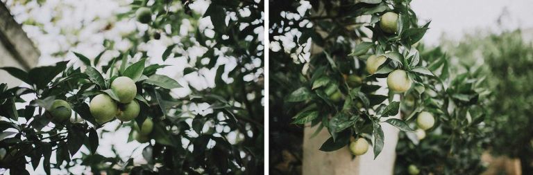 hilario_sanchez_fotografo_boda_ostuni_italia_033