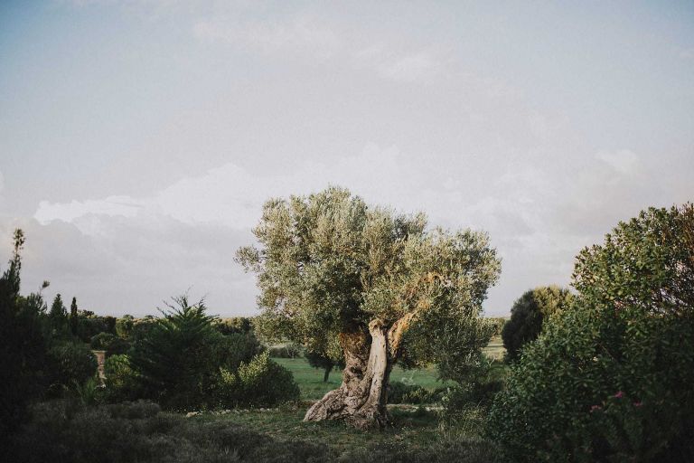 hilario_sanchez_fotografo_boda_ostuni_italia_074