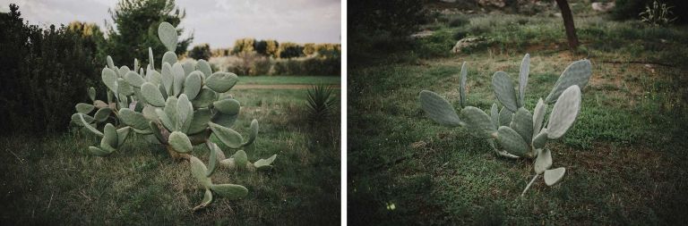 hilario_sanchez_fotografo_boda_ostuni_italia_084