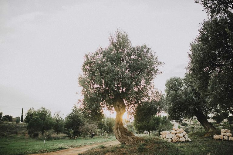 hilario_sanchez_fotografo_boda_ostuni_italia_098
