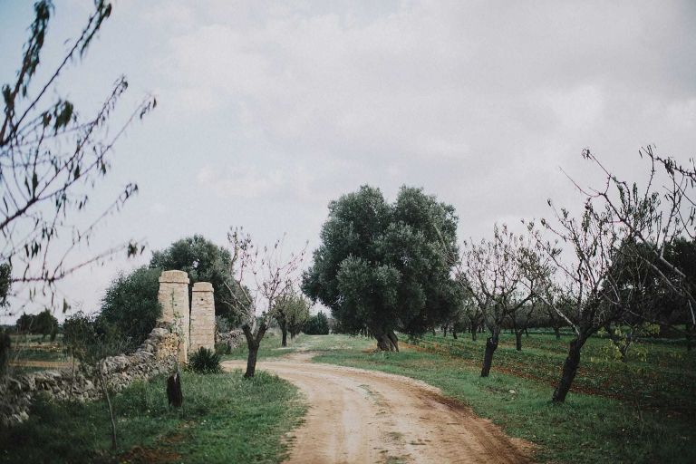 hilario_sanchez_fotografo_boda_ostuni_italia_304